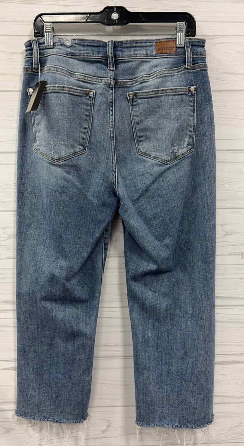 Size 11/30 Judy Blue Jeans