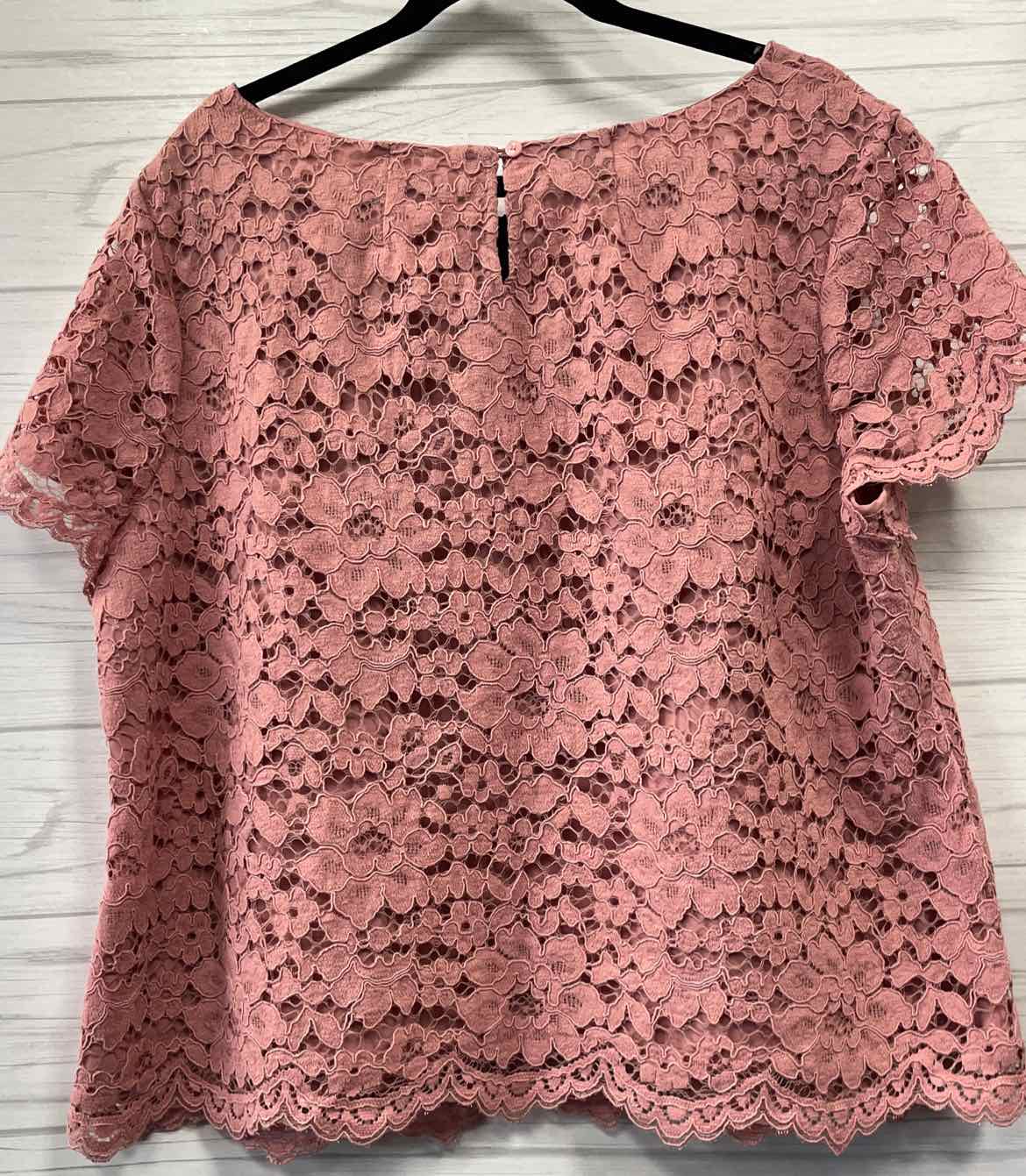 Size 20 Talbots Shirt