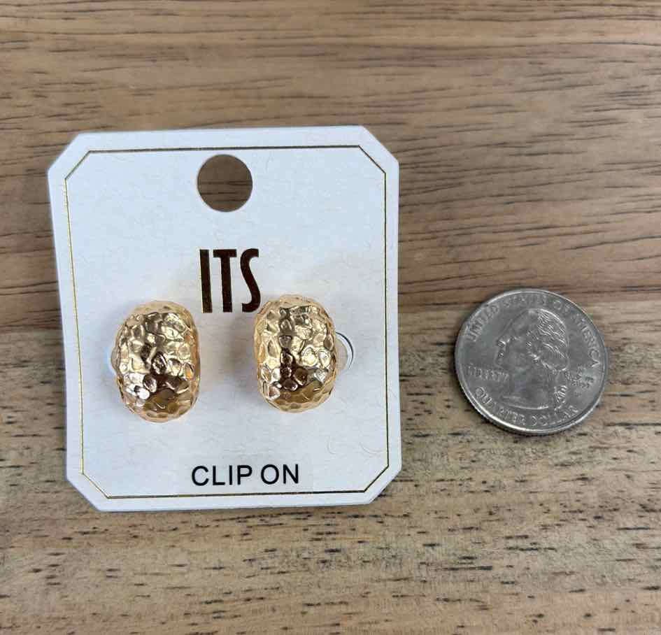 ITS Earrings