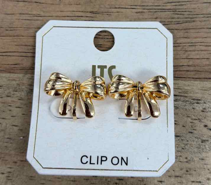 ITS Earrings