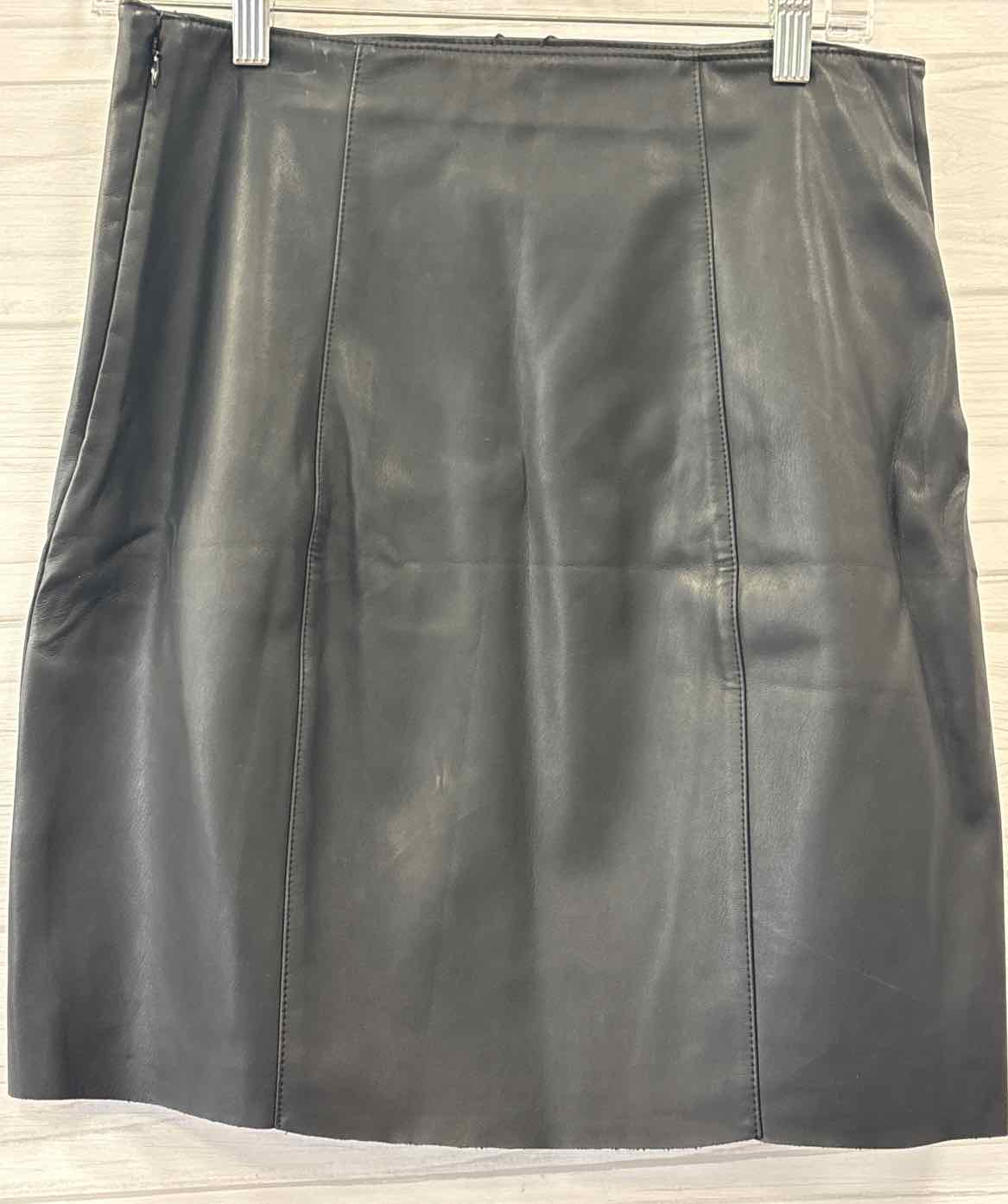 Size 8 Express Skirt