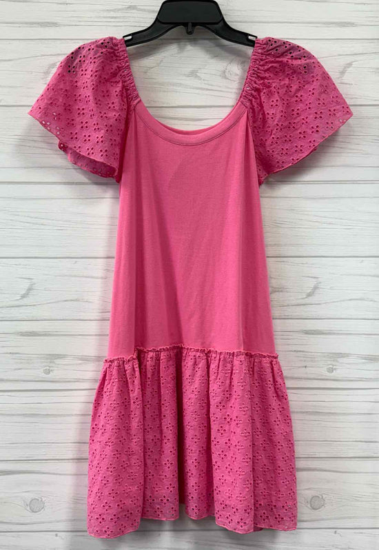 Size XS pink lily Dress