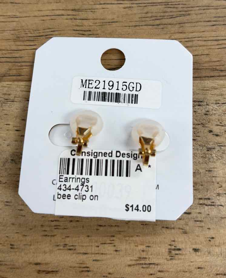 ITS Earrings