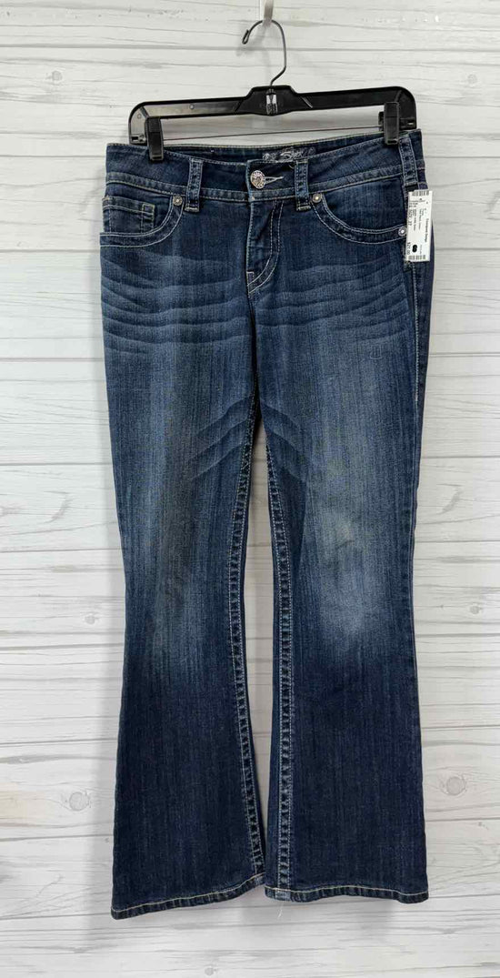 Size 27 Silver Pants
