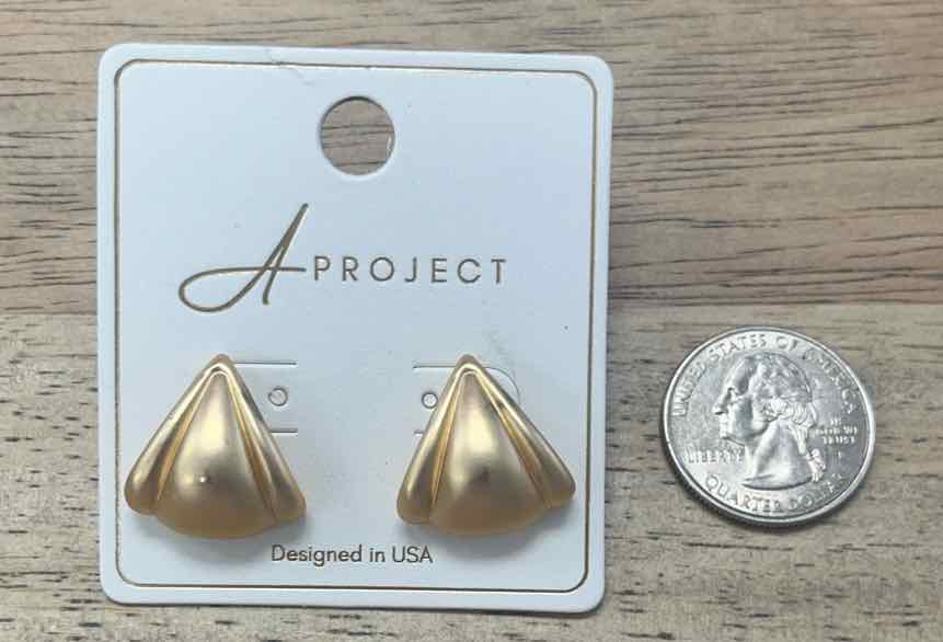 a project Earrings