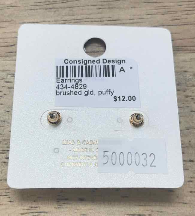 a project Earrings
