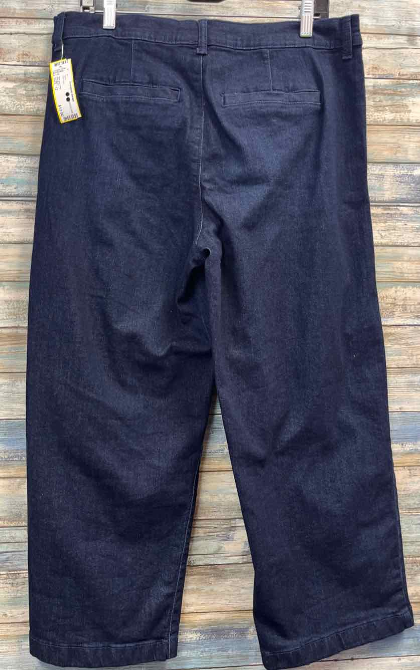 Size 12 Ella Moss Jeans