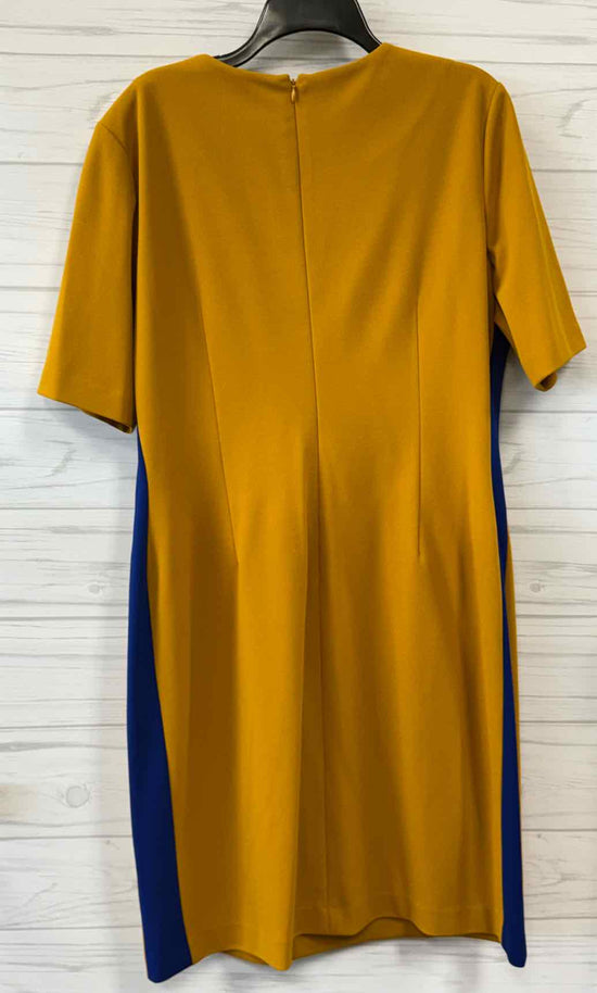Size XL Kasper Dress