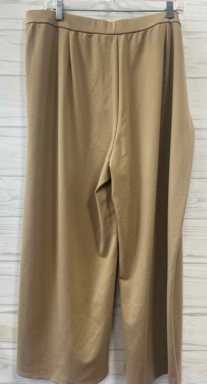 Size 1X EILEEN FISHER Pants