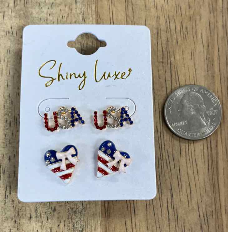Shiny Luxe Earrings