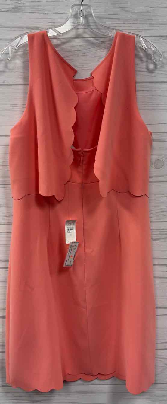 Size 14 Loft Dress
