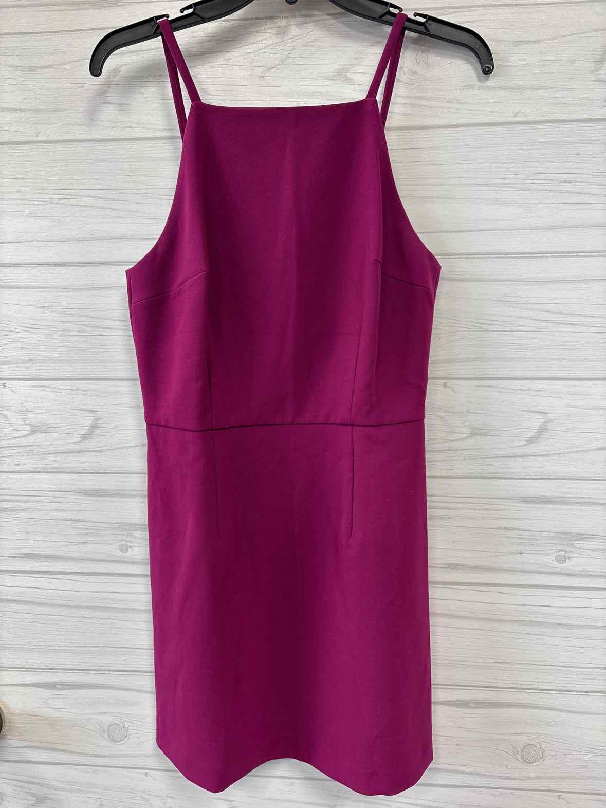 Size 6 French Connection Dress