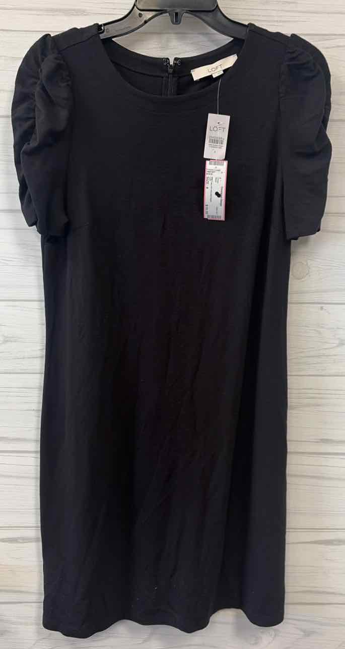 Size 4 Loft Dress