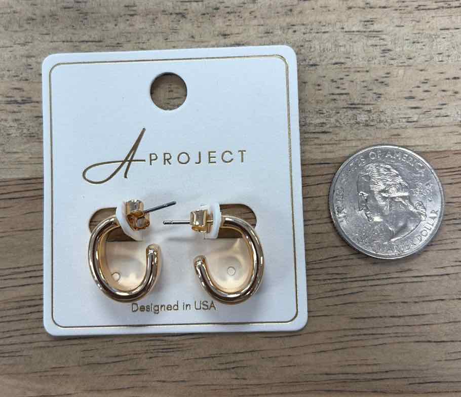 a project Earrings
