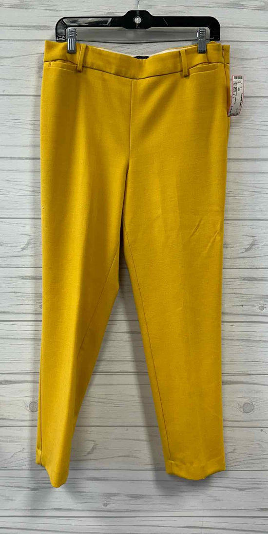 Size 8 Talbots Pants