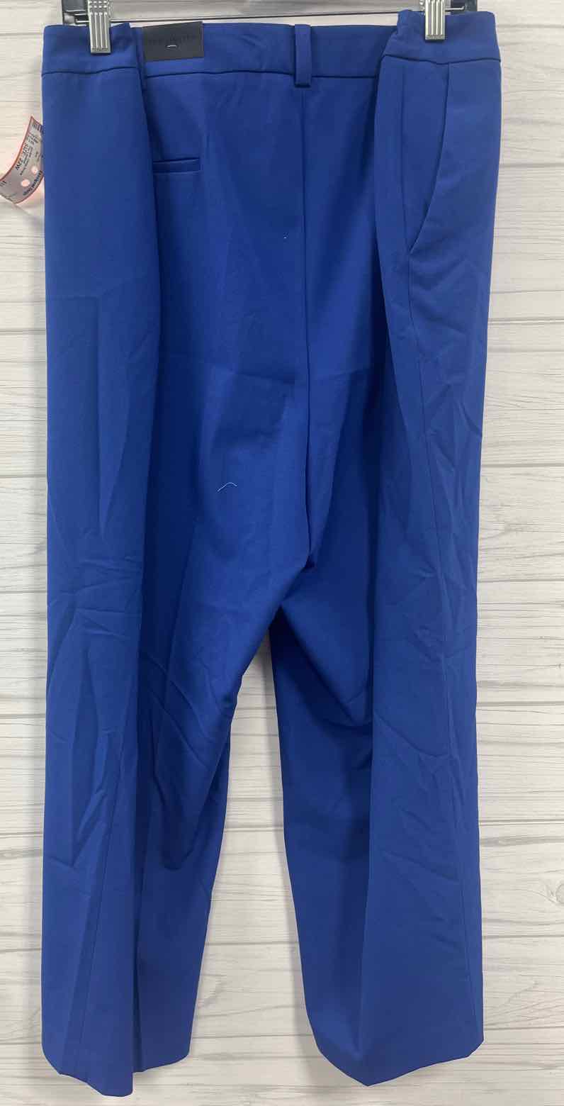 Size 22W The Limited Pants