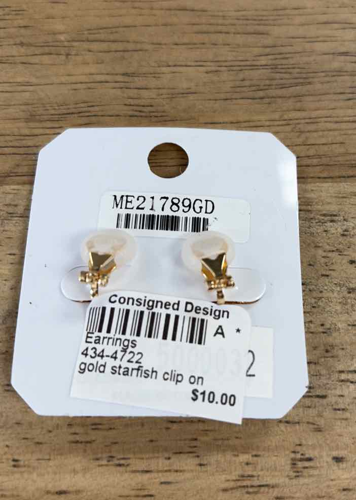 ITS Earrings