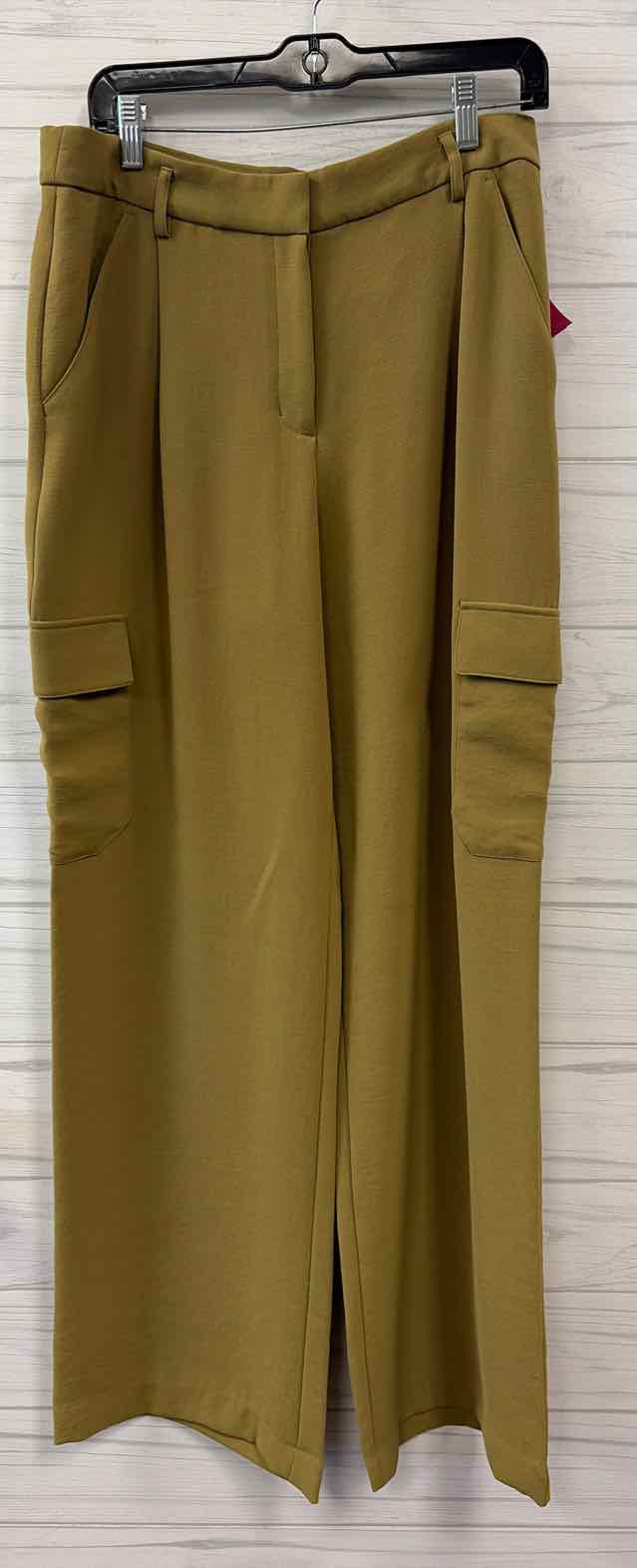 Size 10L Express Pants