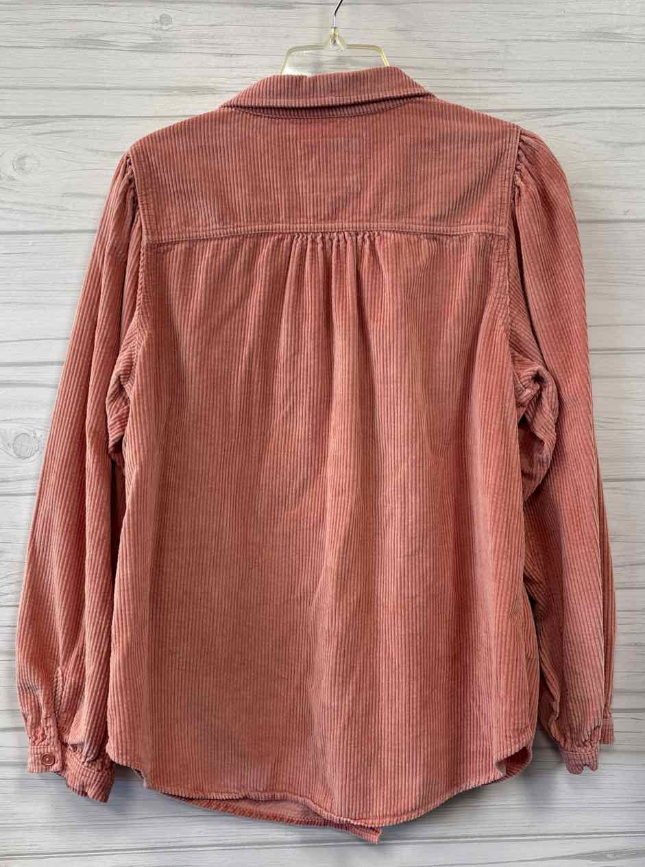 Size L American Eagle Shirt