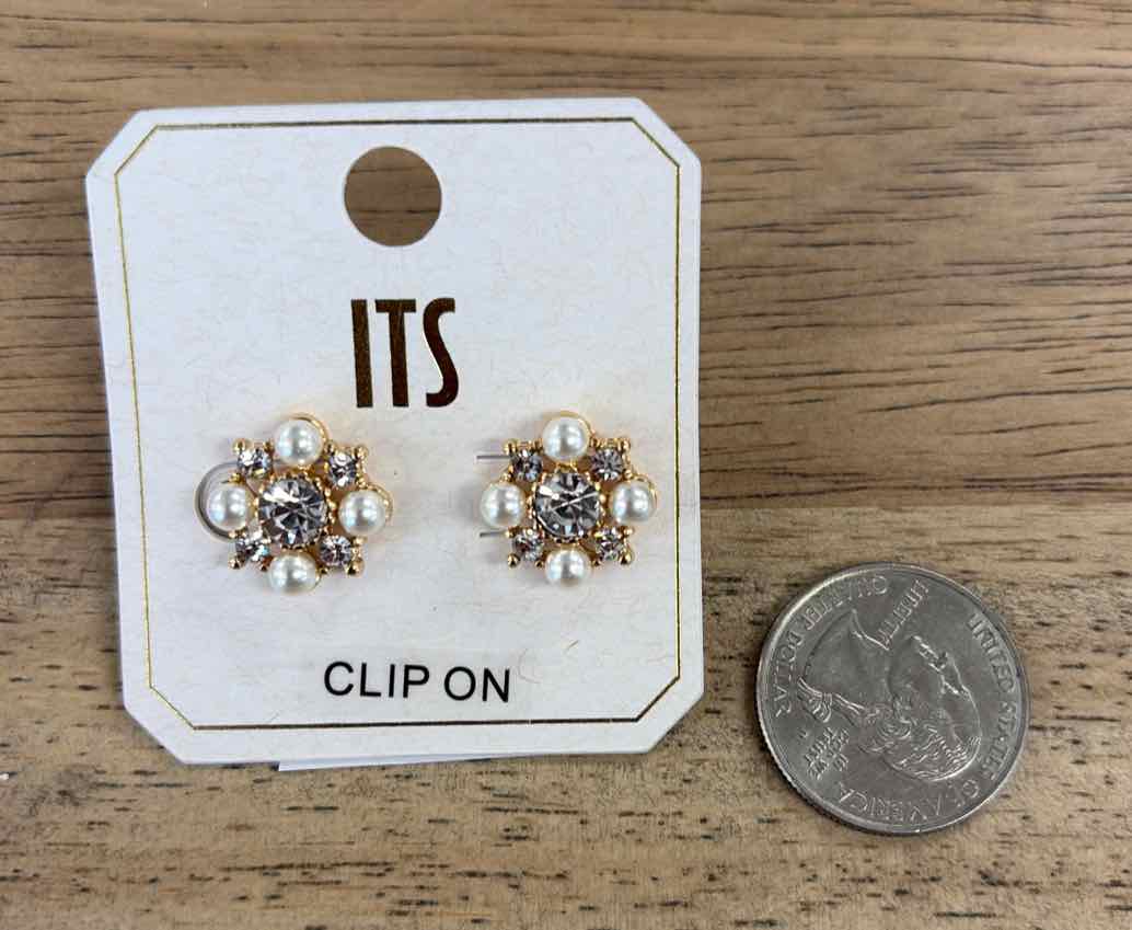 ITS Earrings