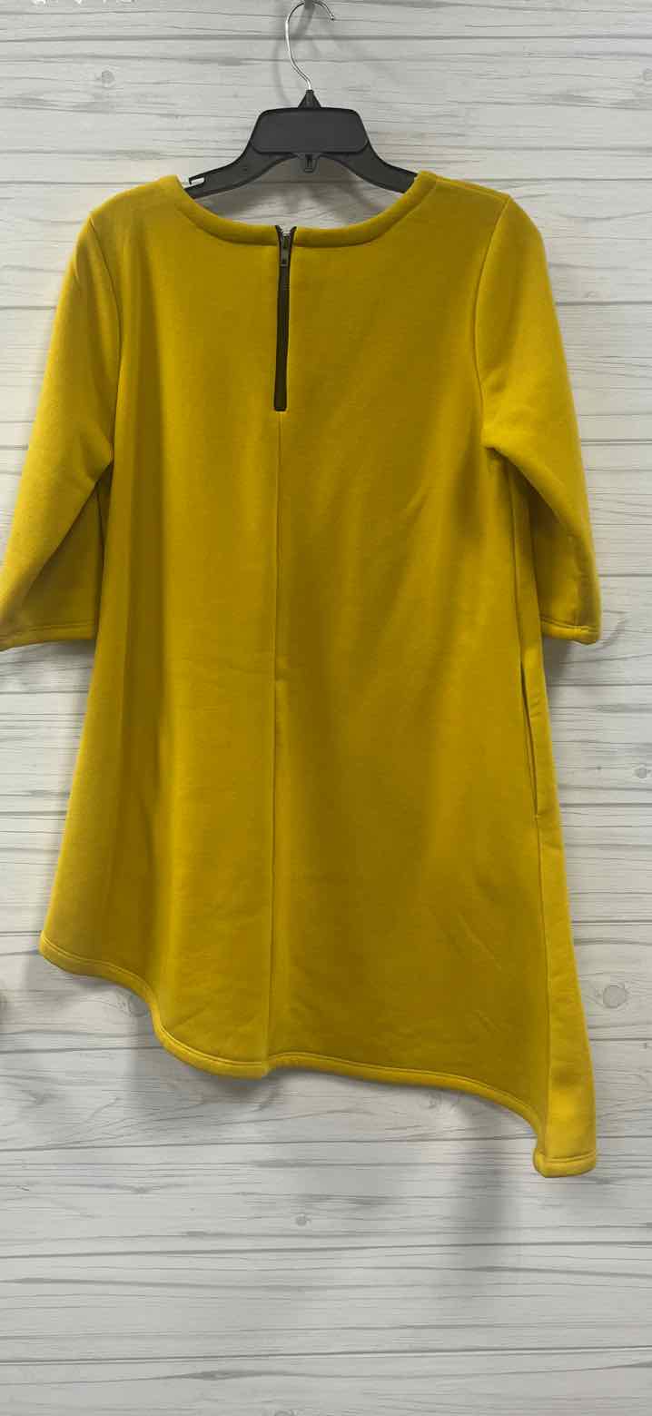 Size M Z Avenue USA Dress