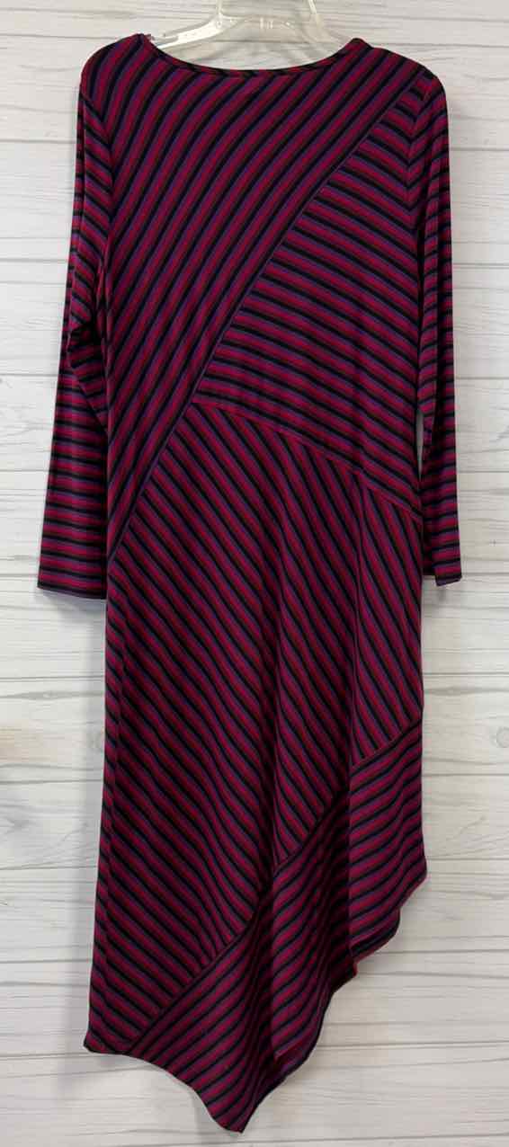 Size 1 Chicos Dress