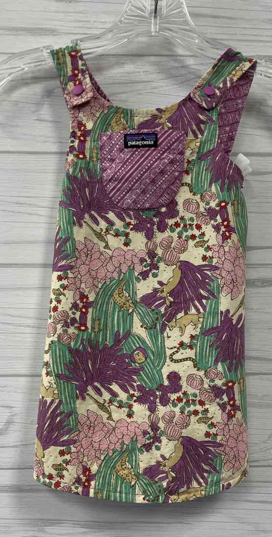 4T Patagonia Dress