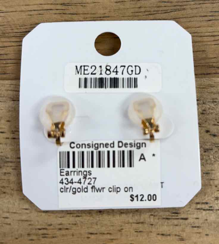 ITS Earrings