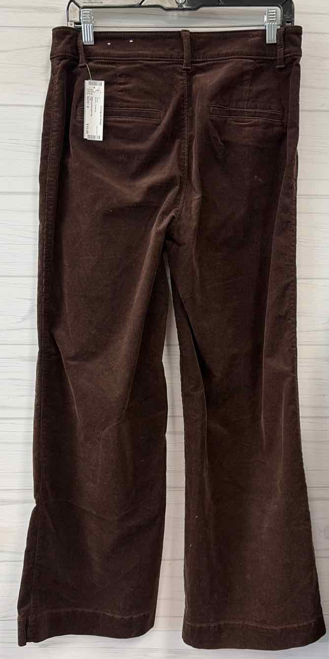 Size 6 Loft Pants