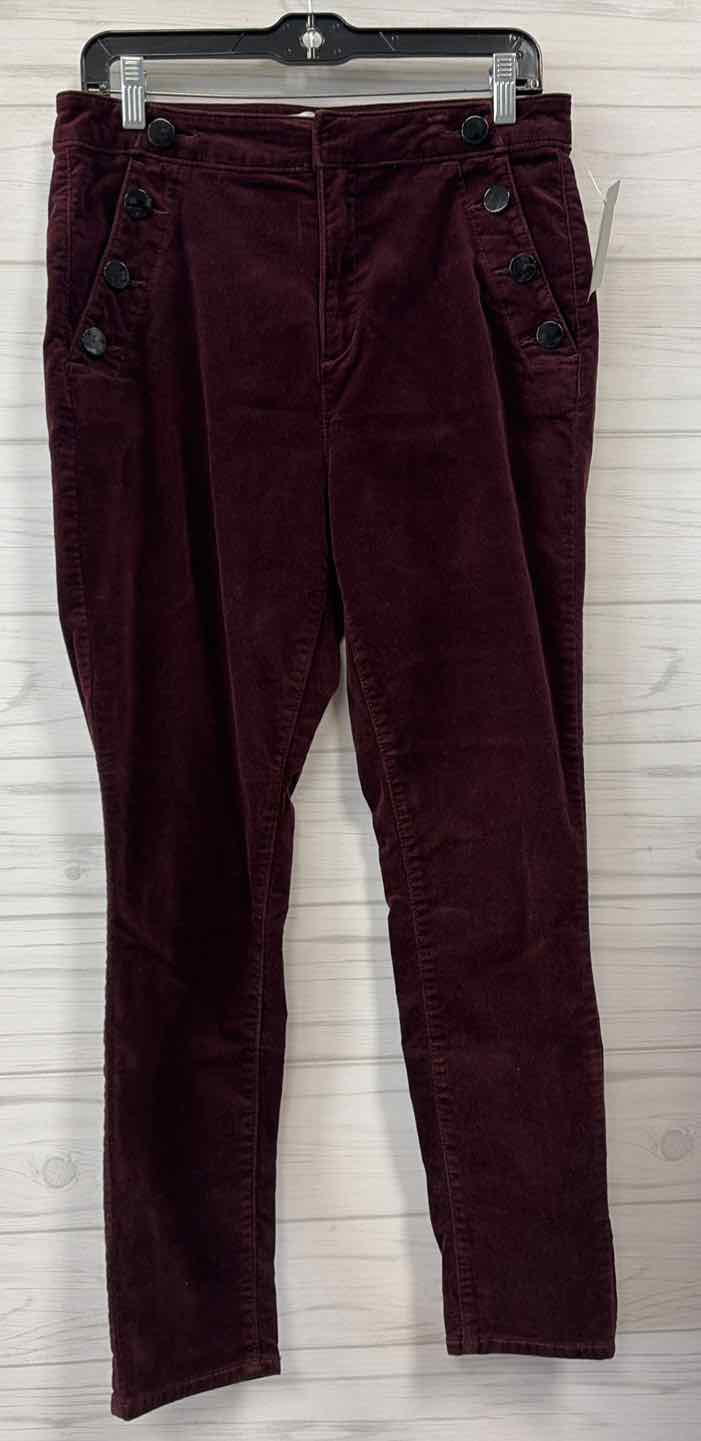 Size 10/30 Loft Pants
