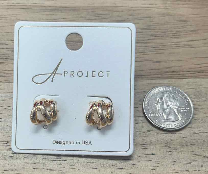 a project Earrings