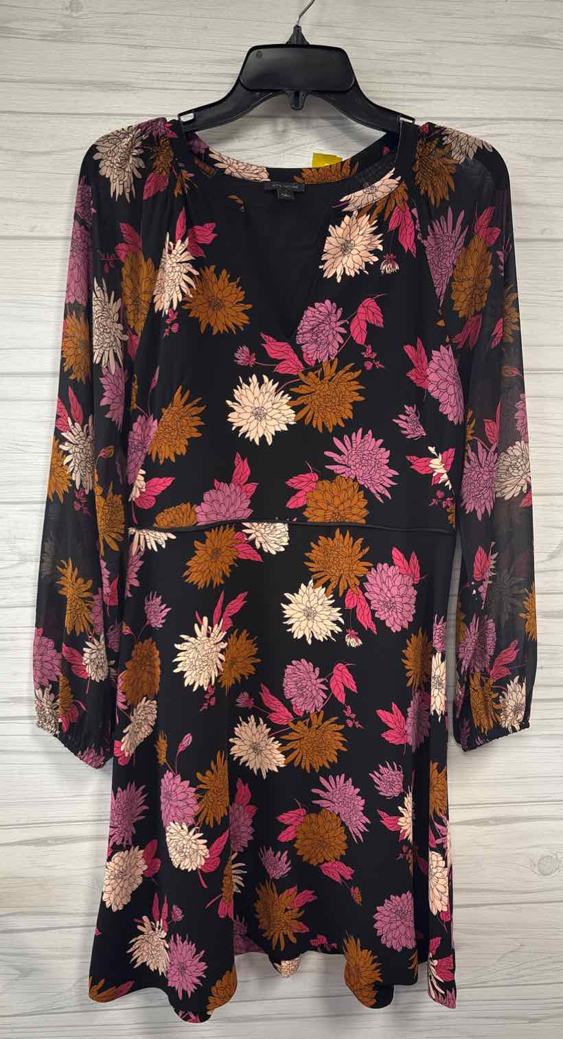 Size 4 Ann Taylor Dress