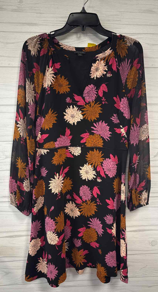 Size 4 Ann Taylor Dress