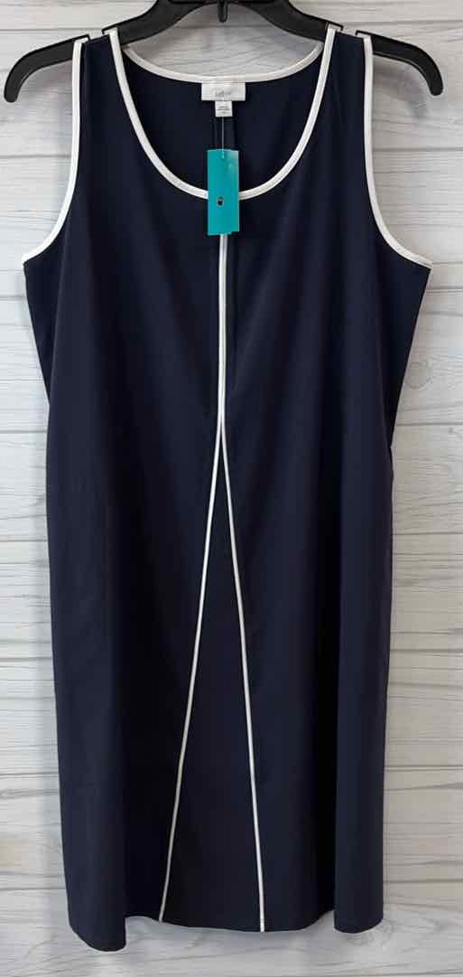Size XS Jjill Dress