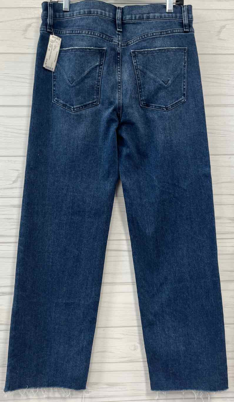 Size 29 Hudson Jeans