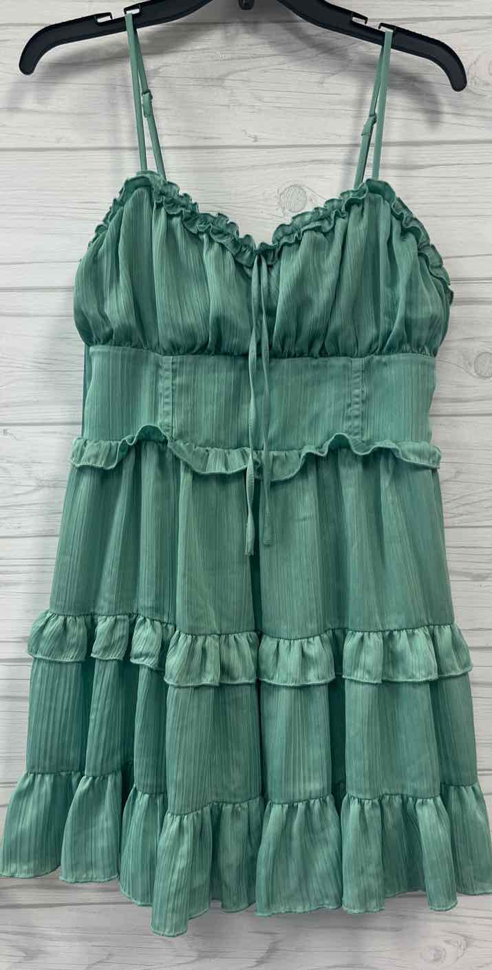 Size L wild fable Dress