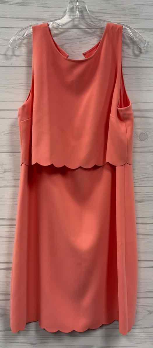 Size 14 Loft Dress