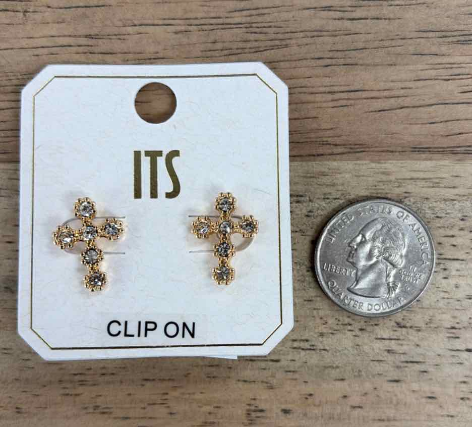 ITS Earrings