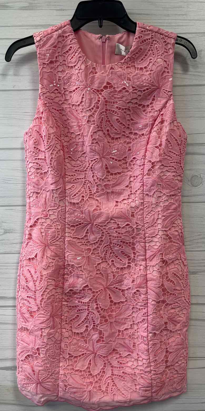 Size S Endless Rose Dress