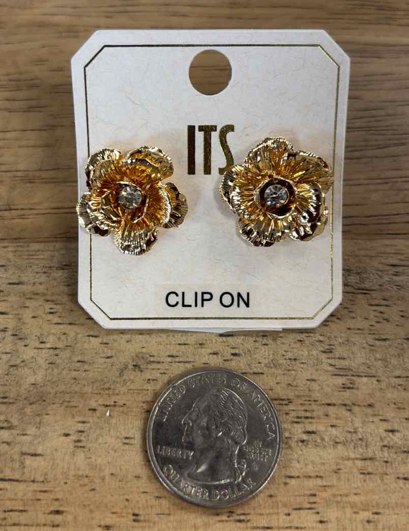 ITS Earrings