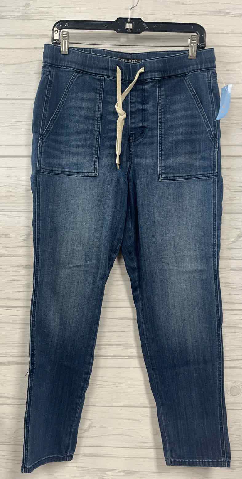 Size 9/29 Judy Blue Jeans