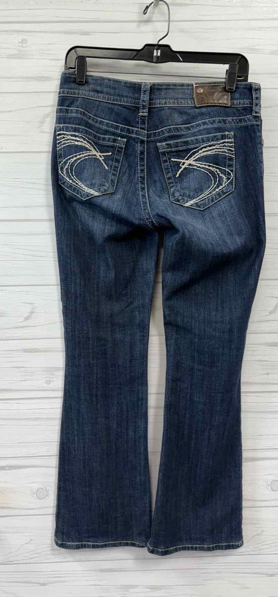 Size 27 Silver Pants