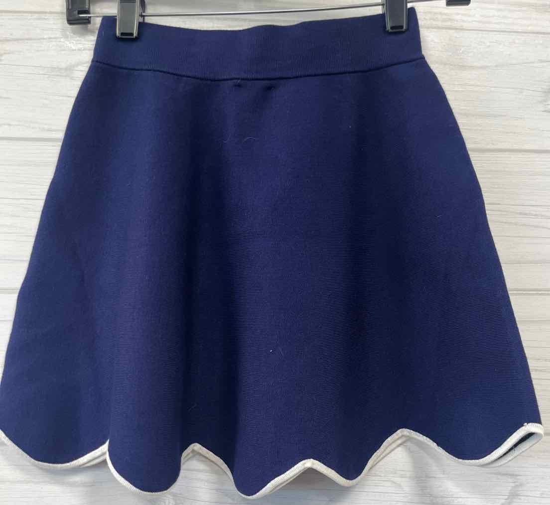 Size XS Maeve By Anthropologie Skirt