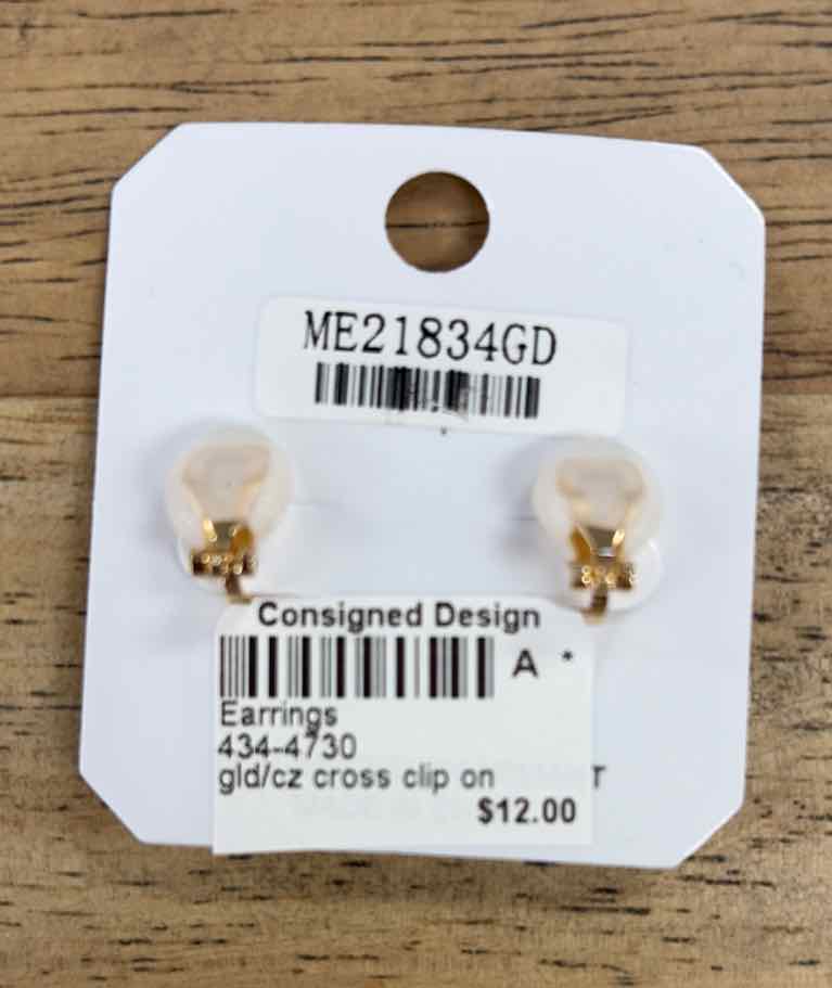 ITS Earrings