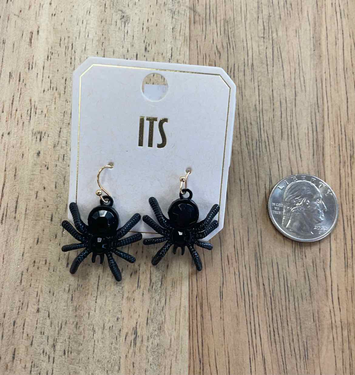 ITS Earrings