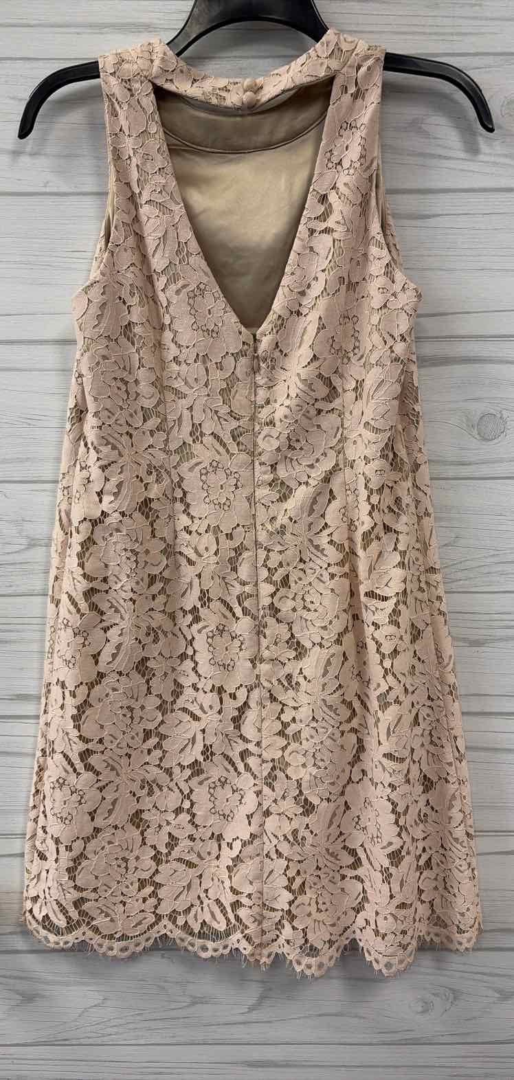 Size 2 Vince Camuto Dress