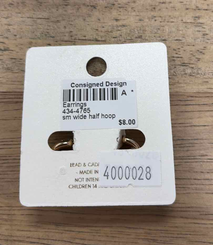 a project Earrings