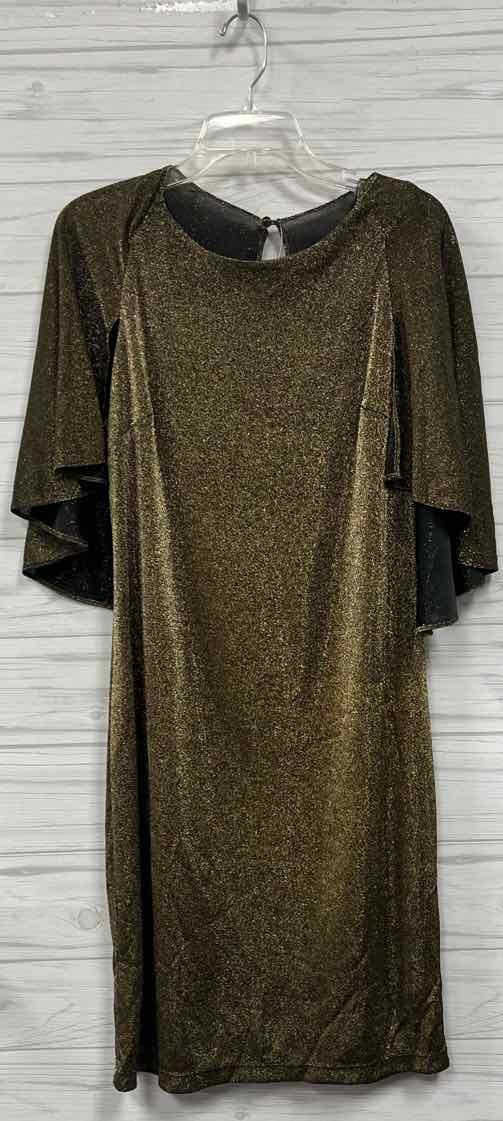 Size 14 Ronni Nicole Dress