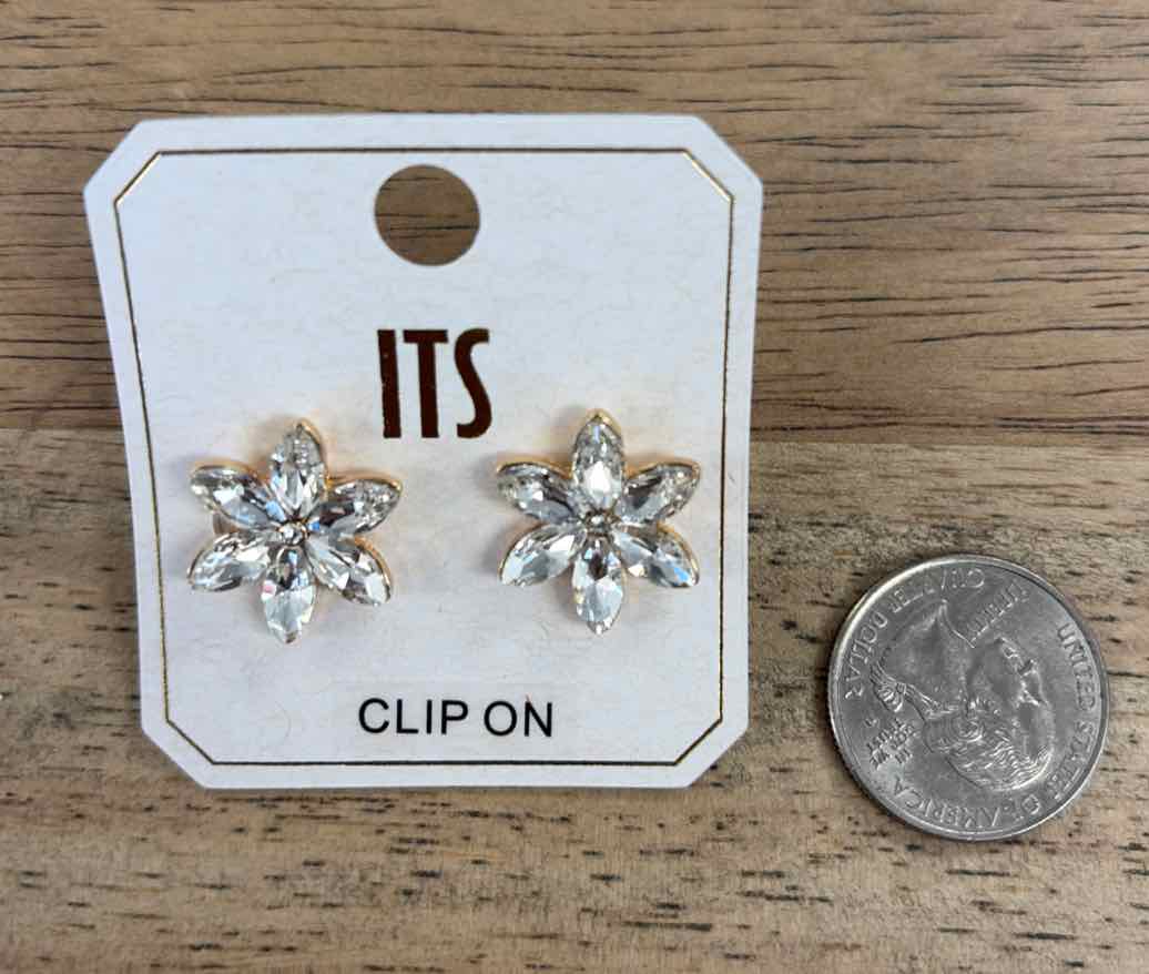 ITS Earrings