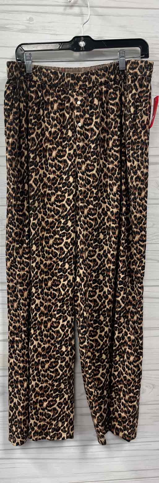 Size L Aerie Pants